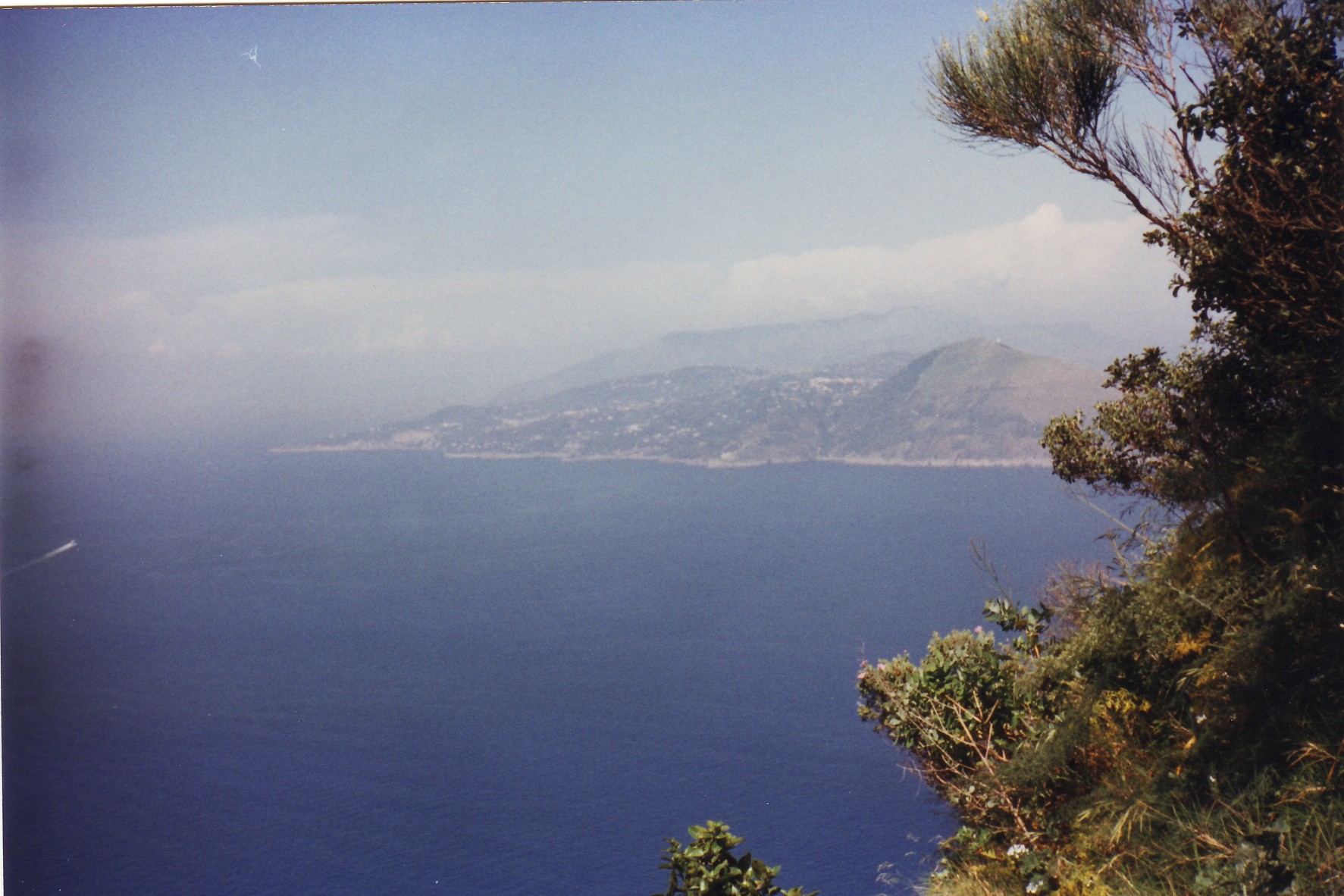 Ischia capri
