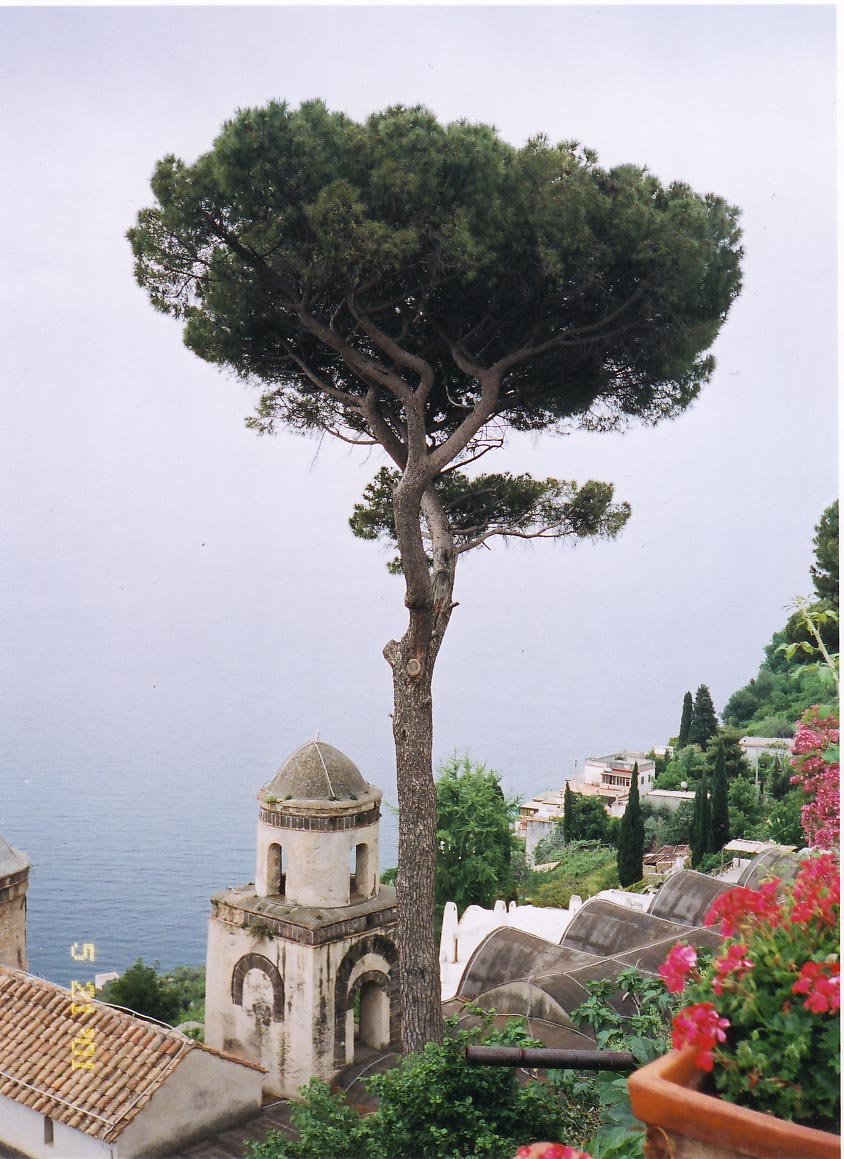 Ravello