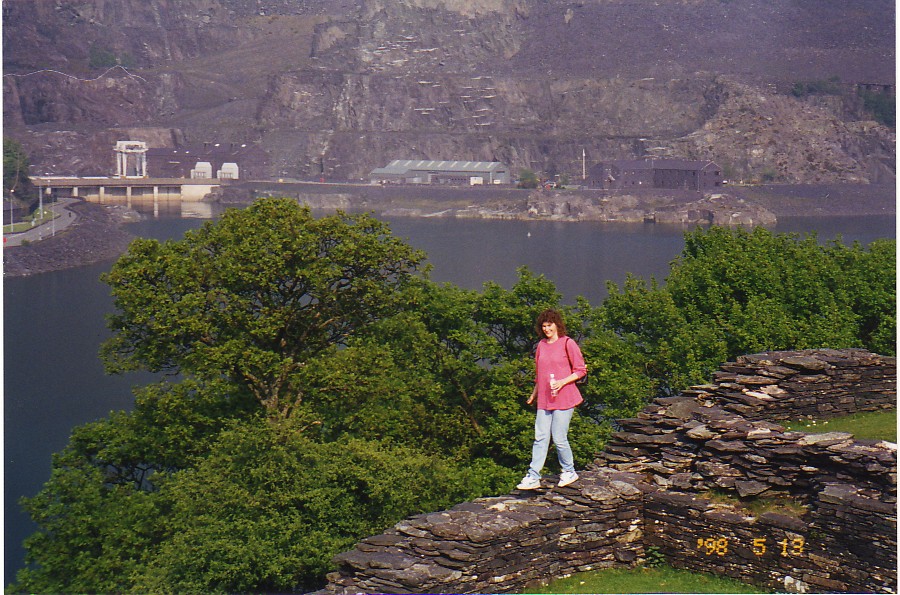 dolbadarn