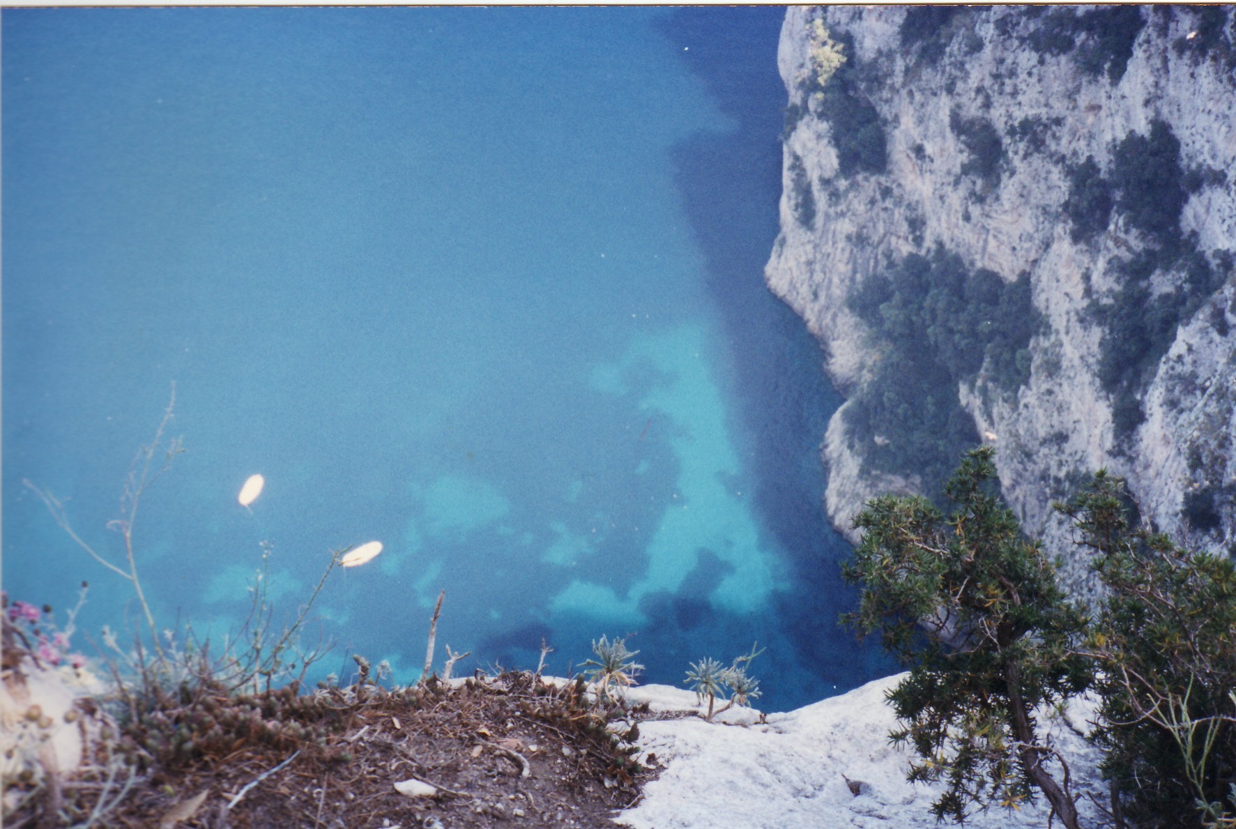 tiberius leap