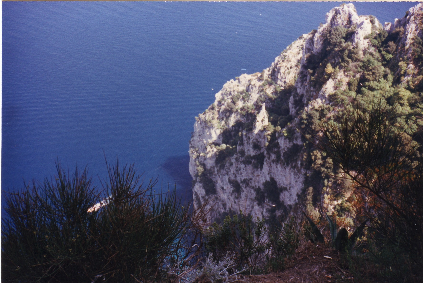tiberius leap